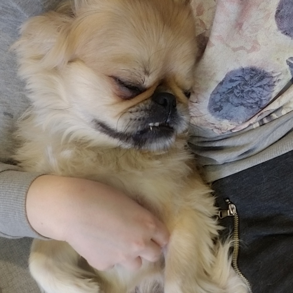 Meet your Posher, Ivana